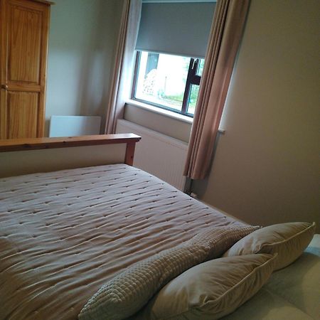 شقة Parkhill House Self Catering باليشانون المظهر الخارجي الصورة