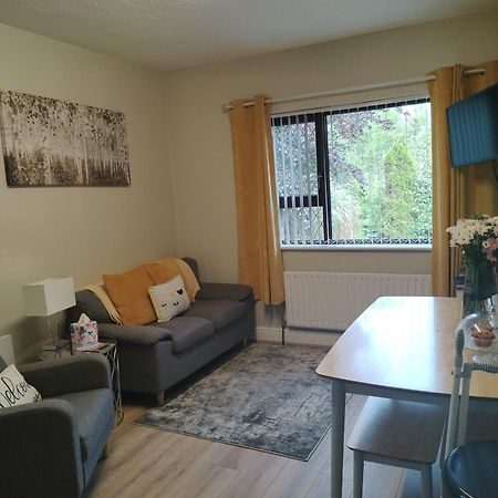 شقة Parkhill House Self Catering باليشانون المظهر الخارجي الصورة