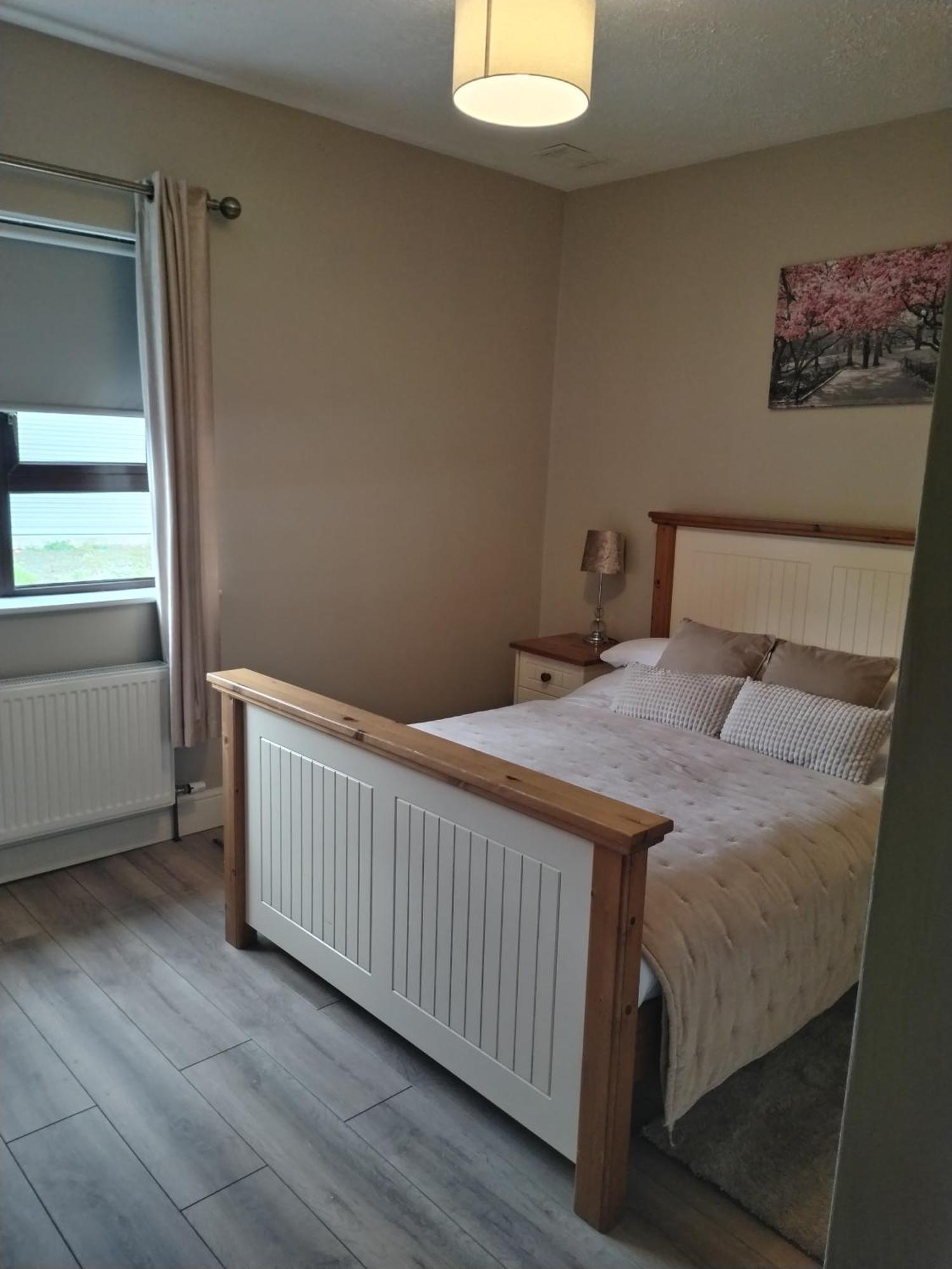 شقة Parkhill House Self Catering باليشانون المظهر الخارجي الصورة
